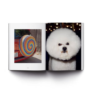 Circles Photo Book