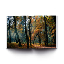 Load image into Gallery viewer, Magic Hour II Photo Book