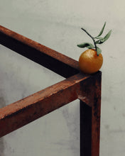 Load image into Gallery viewer, Marley Hutchinson &quot;Orange on Metal&quot; Print (Edition of 40)